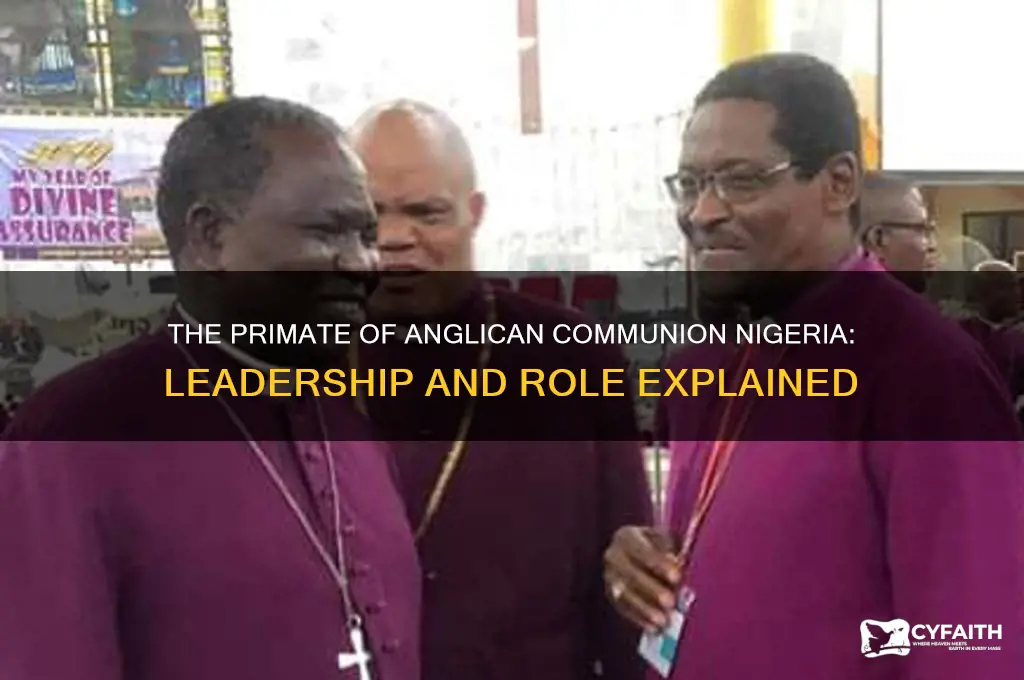 who is the primate of anglican communion nigeria
