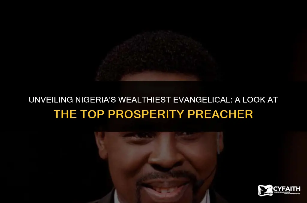 who is the richest evangelical in nigeria