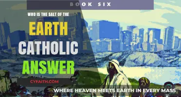 Understanding the Catholic Meaning of 'Salt of the Earth' in Faith