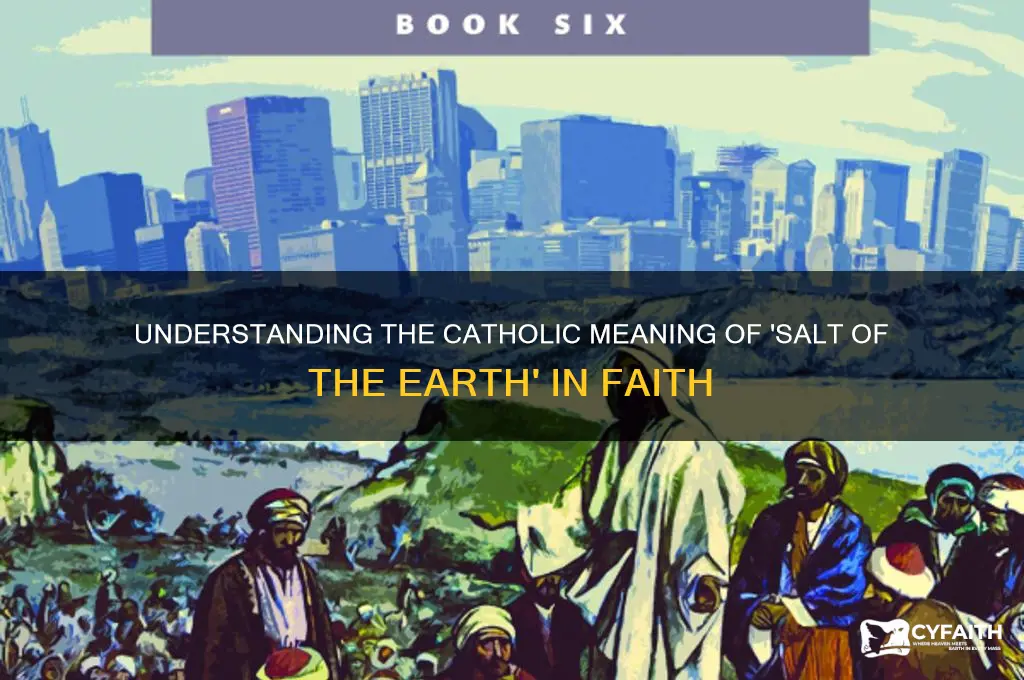 who is the salt of the earth catholic answer