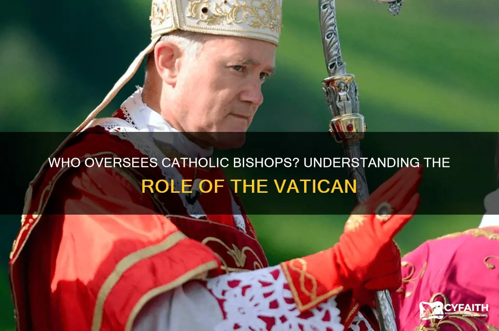 who is the supervisor of catholic bishops