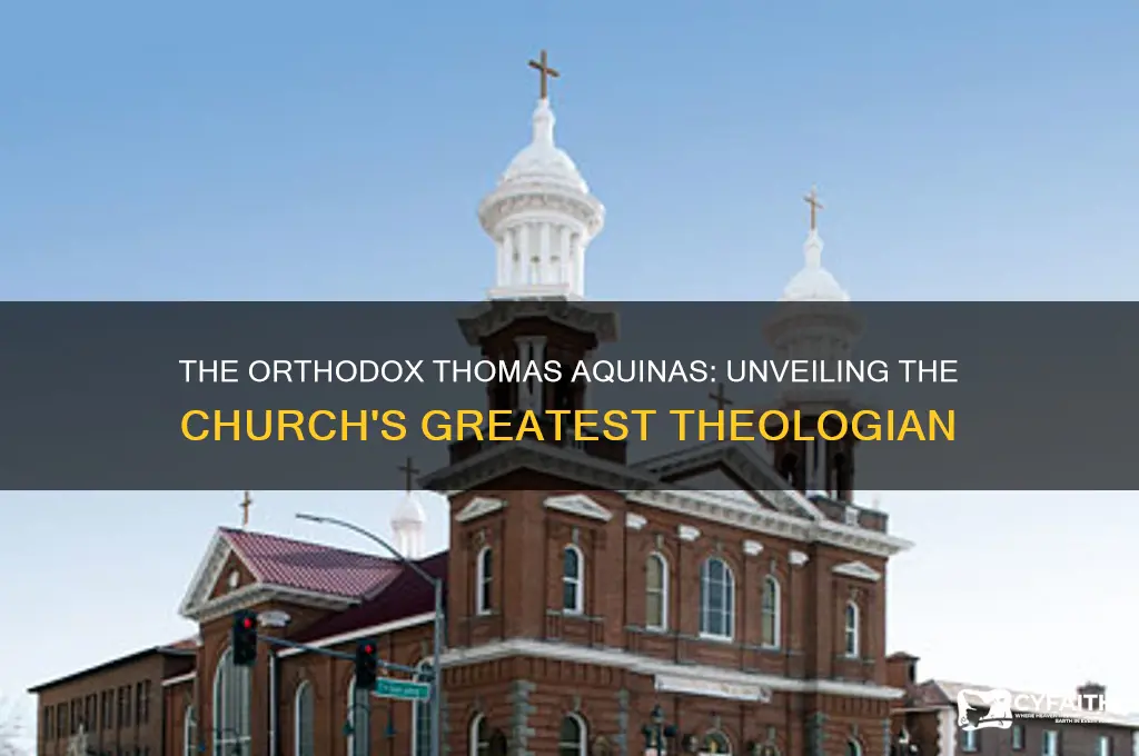 who is the thomas aquinas of orthodox christian church