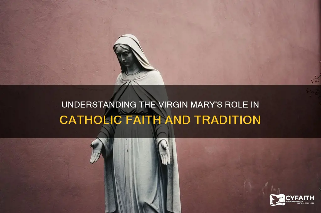 who is the virgin mary catholic