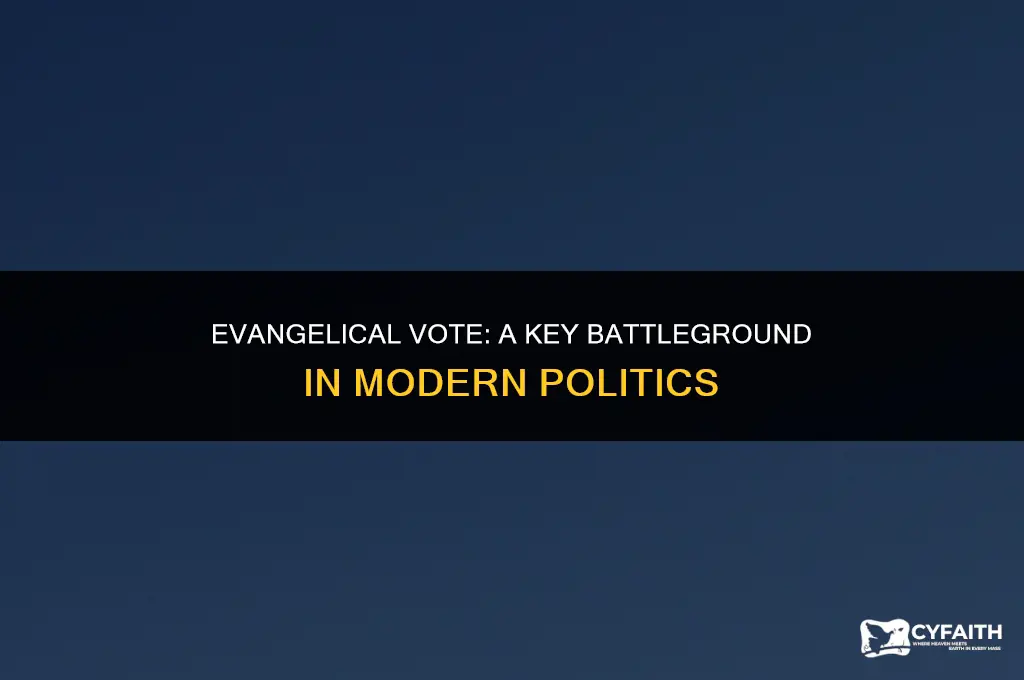 who is winning the evangelical vote