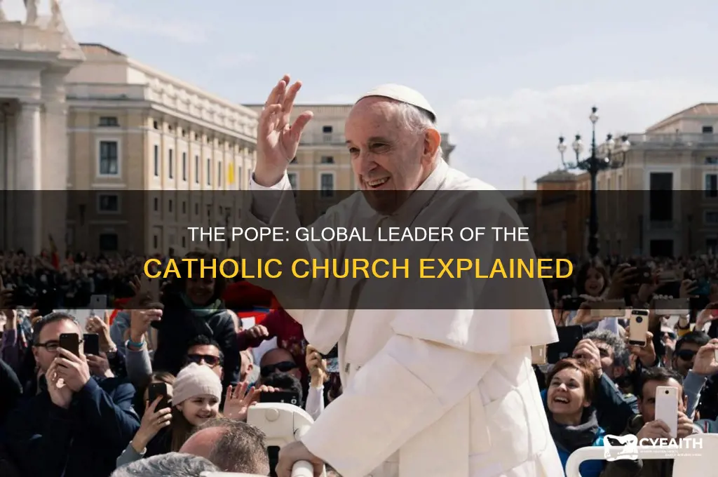 who is world leader of catholics