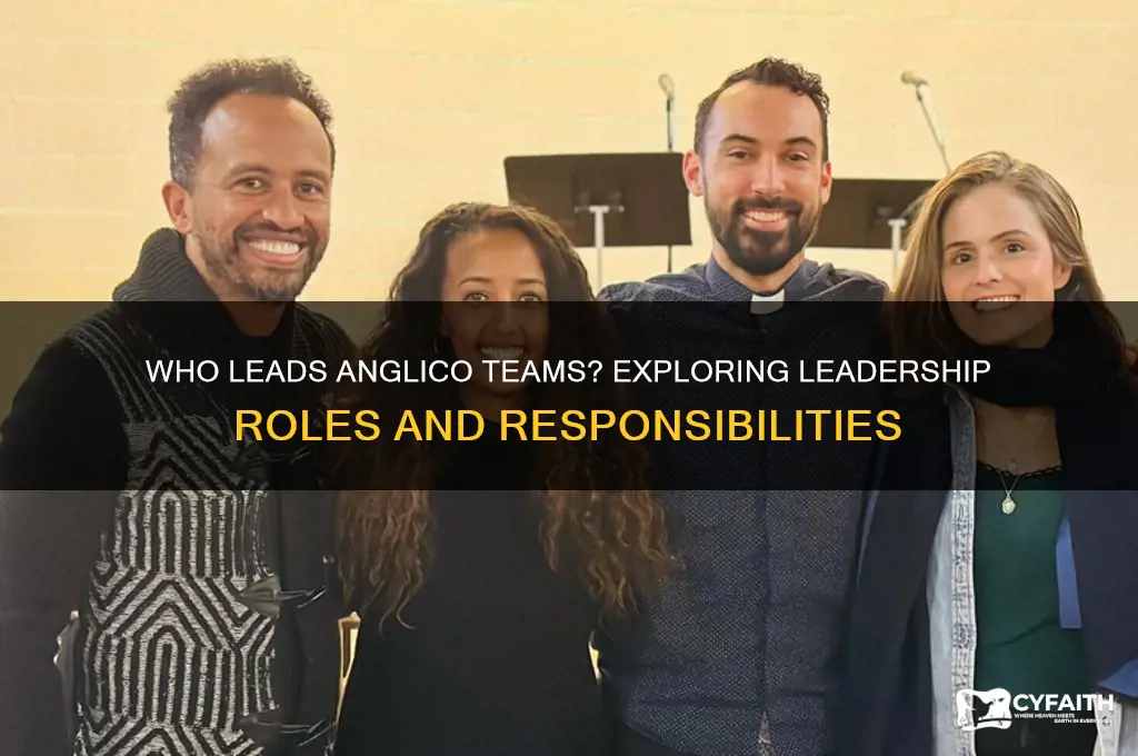 who leads anglico teams