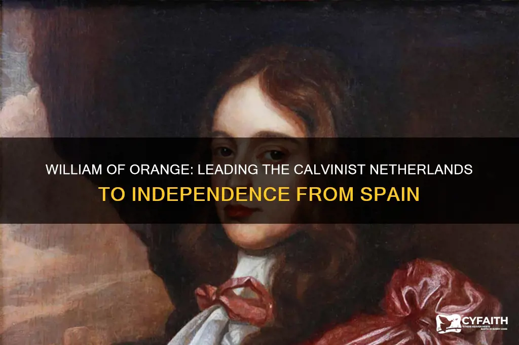 who led the calvinist netherlands to independence from catholic spain