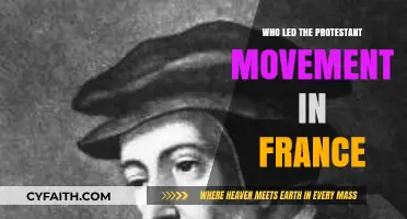 John Calvin: The Architect of France's Protestant Reformation Movement