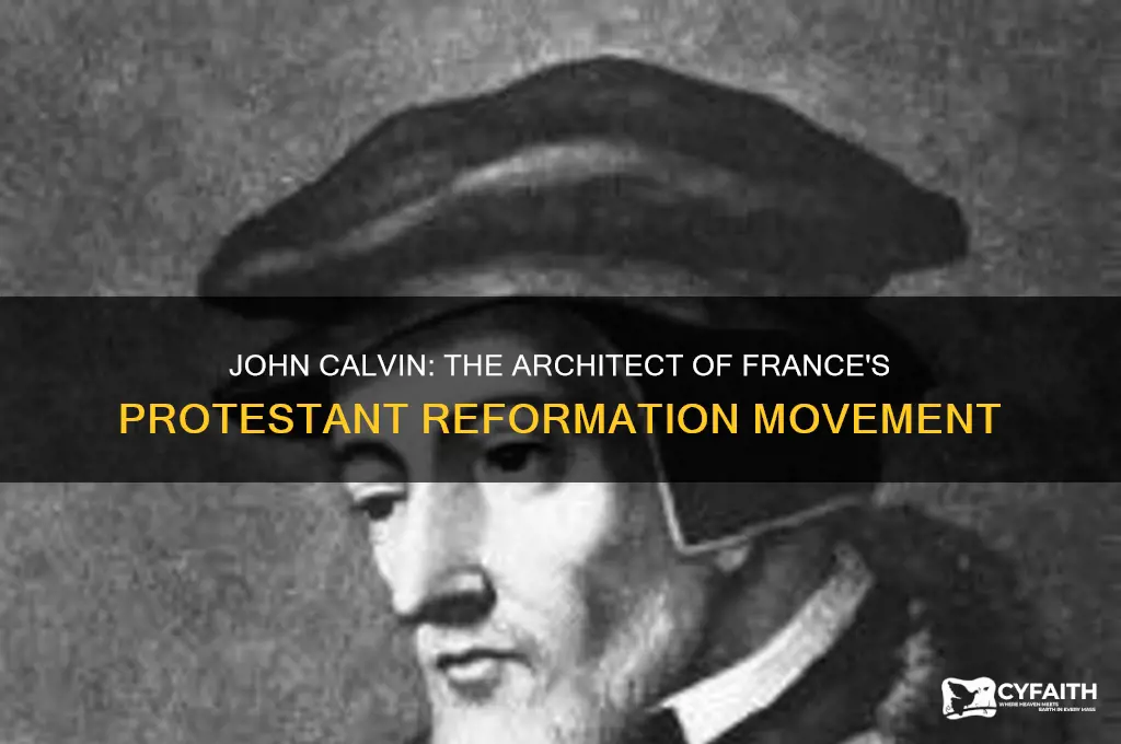 who led the protestant movement in france