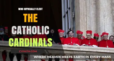 How Are Catholic Cardinals Officially Elected? A Comprehensive Guide