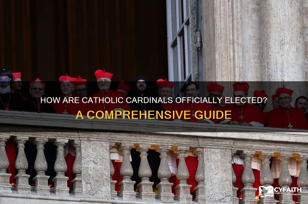 who officially elect the catholic cardinals