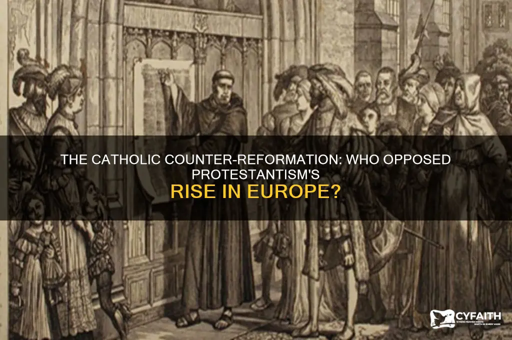 who opposed protestantism during the protestant reformation
