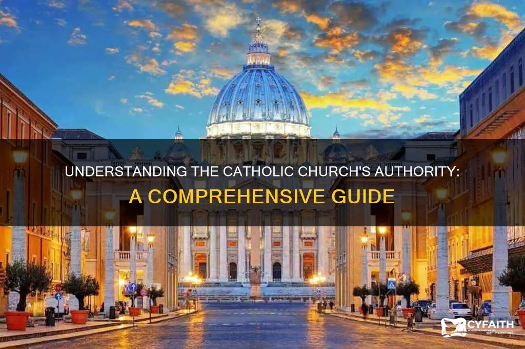 who or what is the authority of catholics