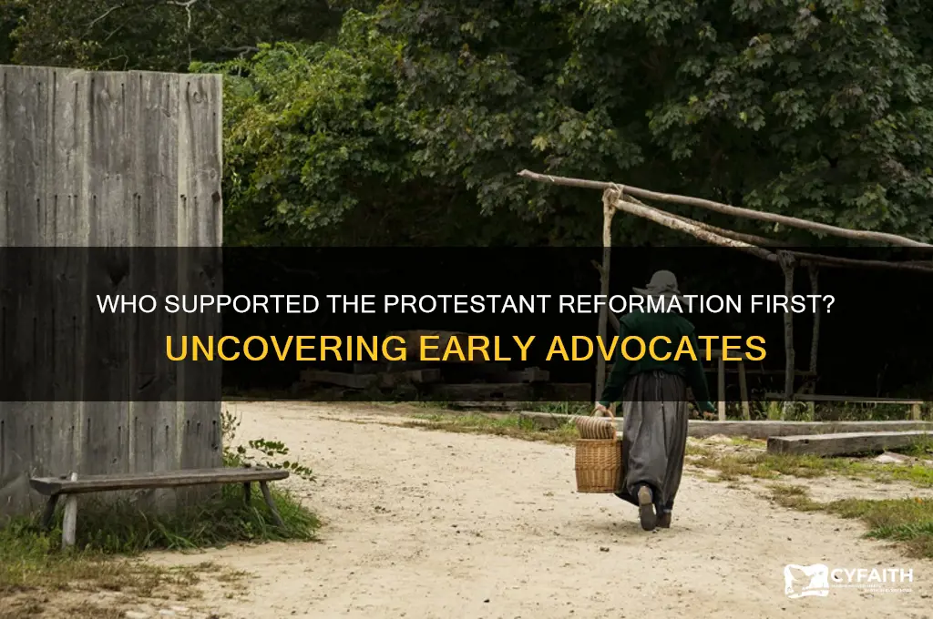 who originally liked the protestant reformation