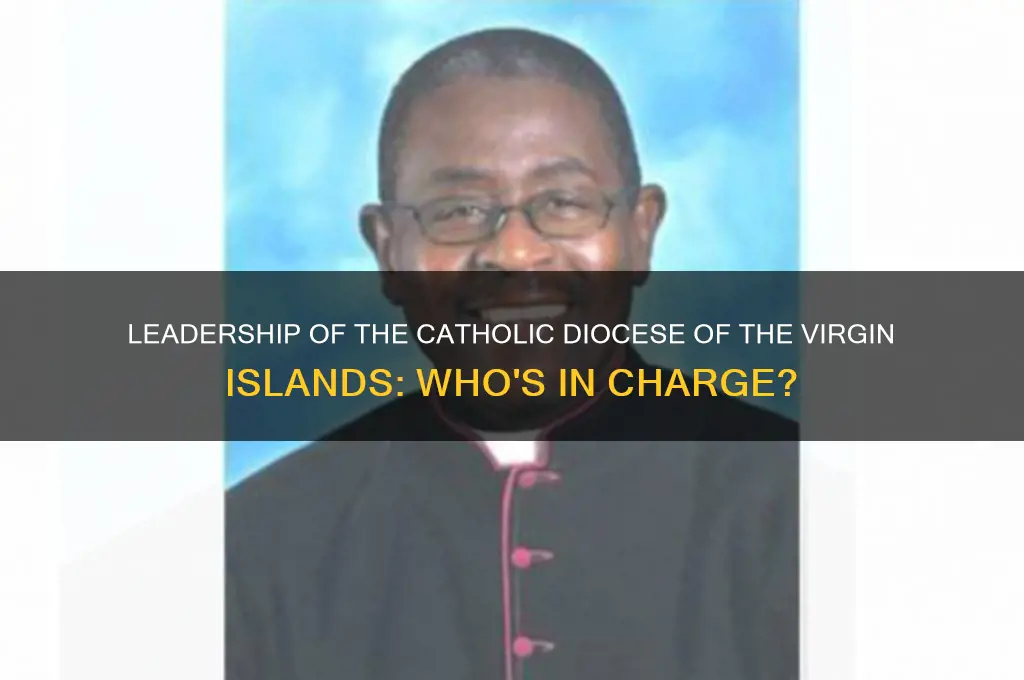 who oversees the catholic diocese of the virgin islands
