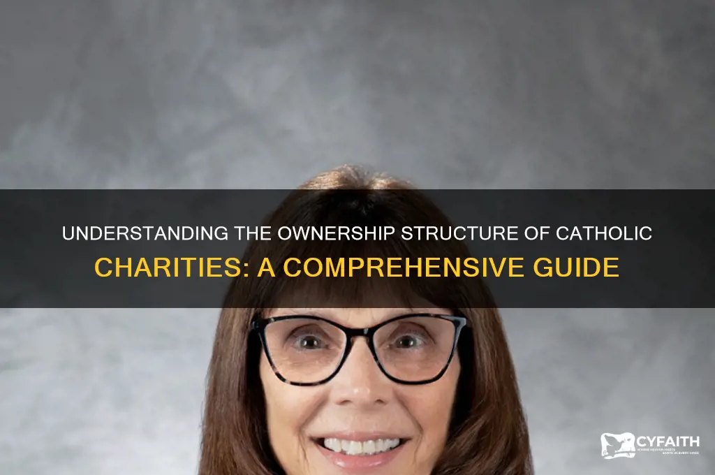 who owns catholic charities