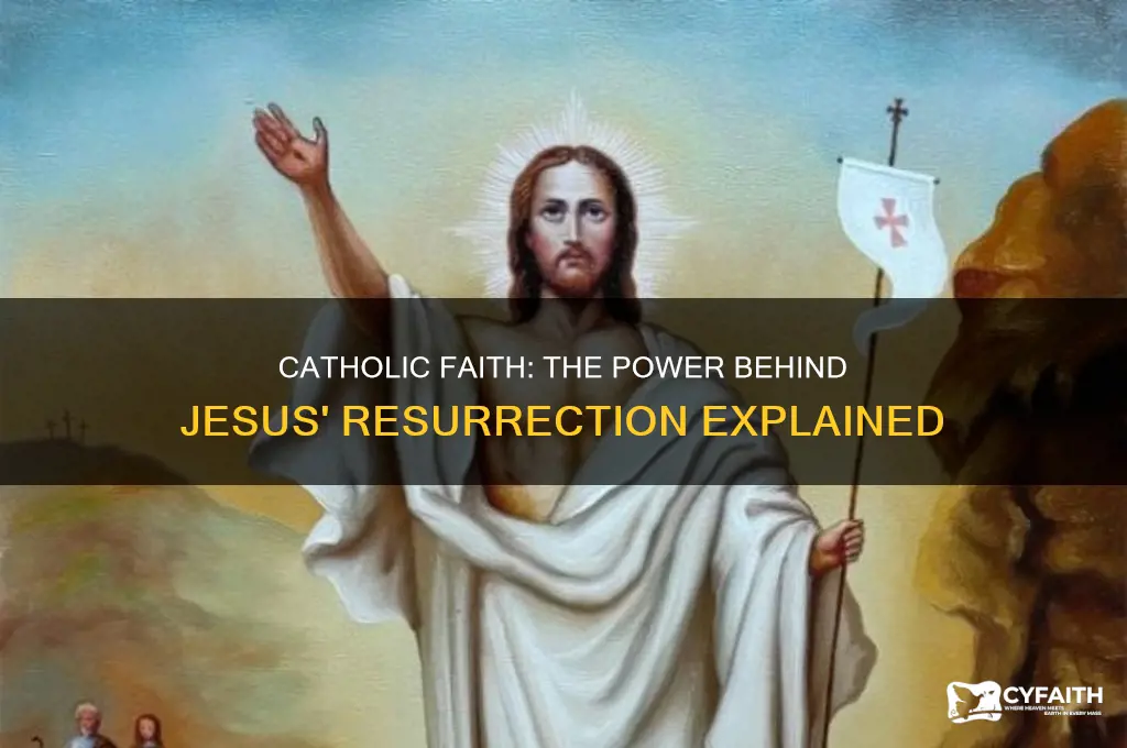 who raised jesus from the dead catholic