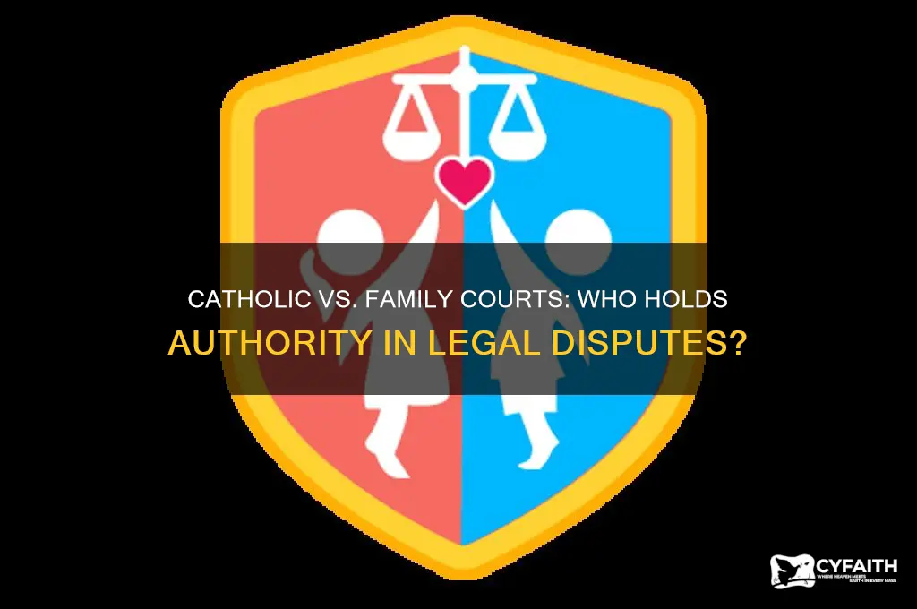 who runs catholic v familycgrities
