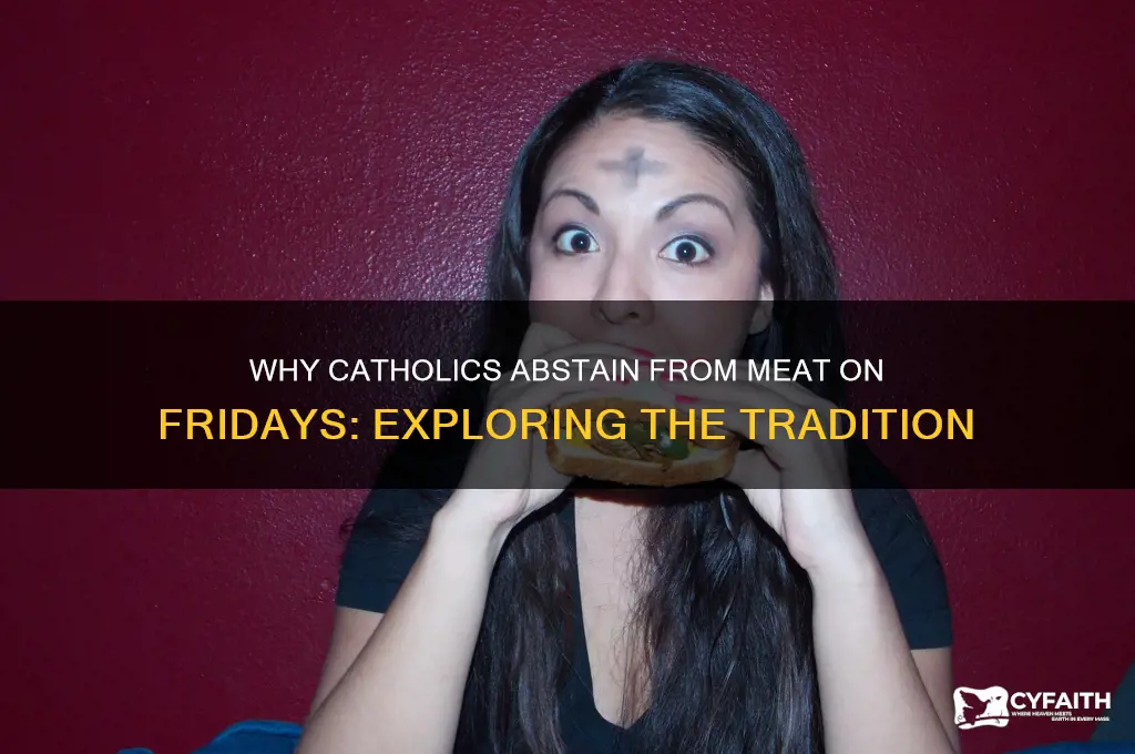 who said catholics shouldn