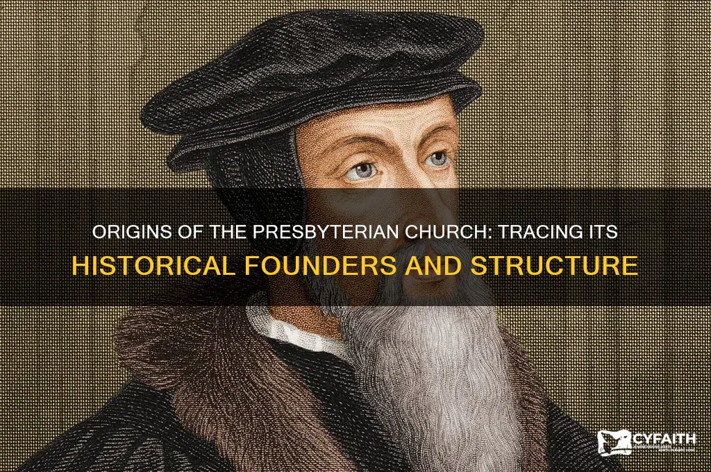 who set up the current presbyterian church system