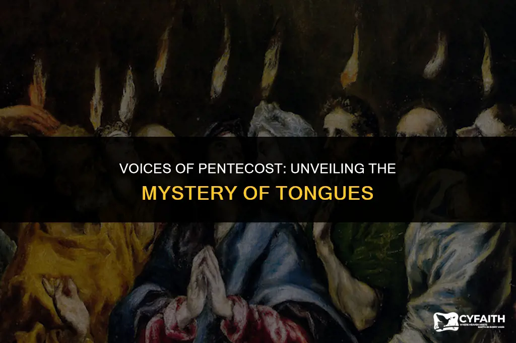 who spoke in tongues at pentecost