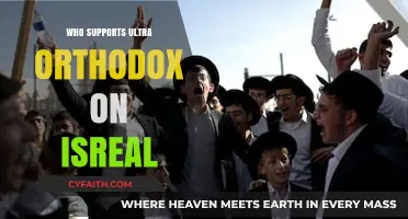 Understanding Israel's Ultra-Orthodox Support System: Key Players and Influences