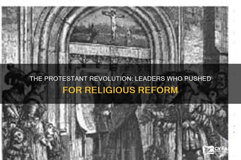 who tried to force protestantism during the protestant revolution
