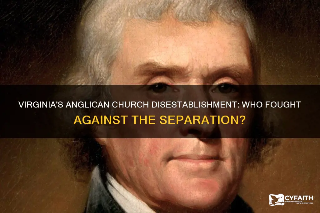 who waged war against disestablishment anglican church in virginia