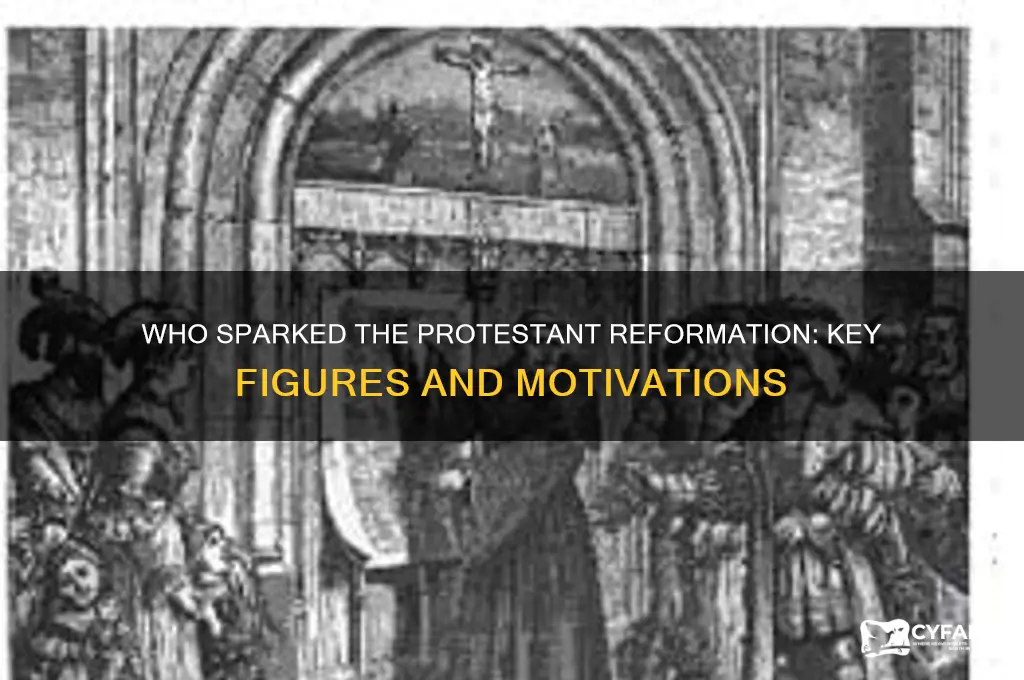 who wanted the protestant reformation