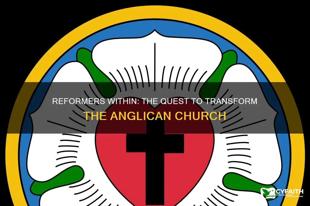 who wanted to change the anglican church from within