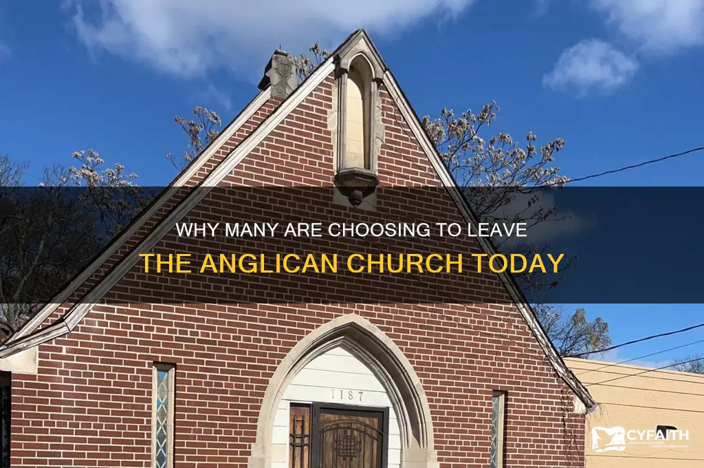 who wants to leave the anglican church