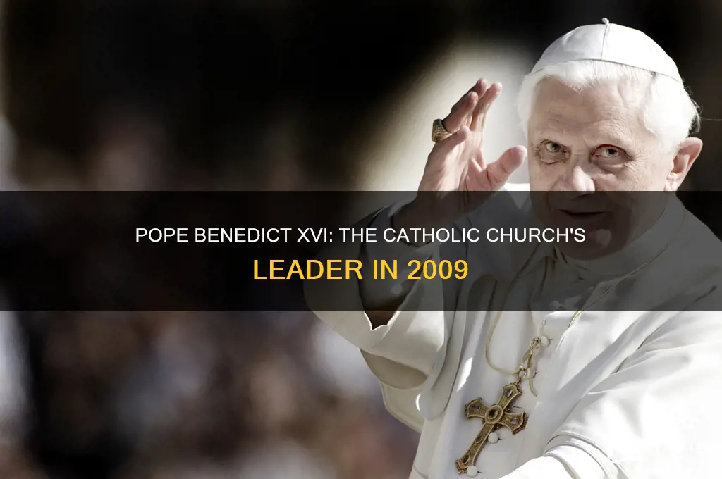 who was catholic pope in 2009