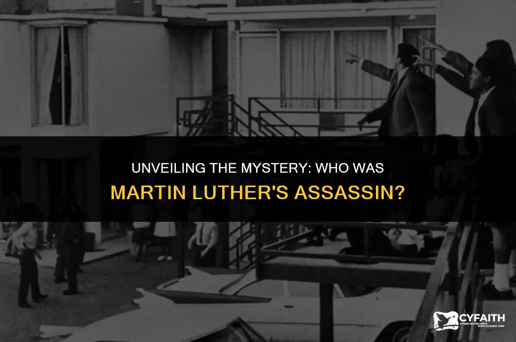 who was martin luthers assasin