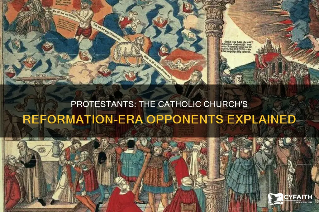 who was opposite the catholics during the reformation