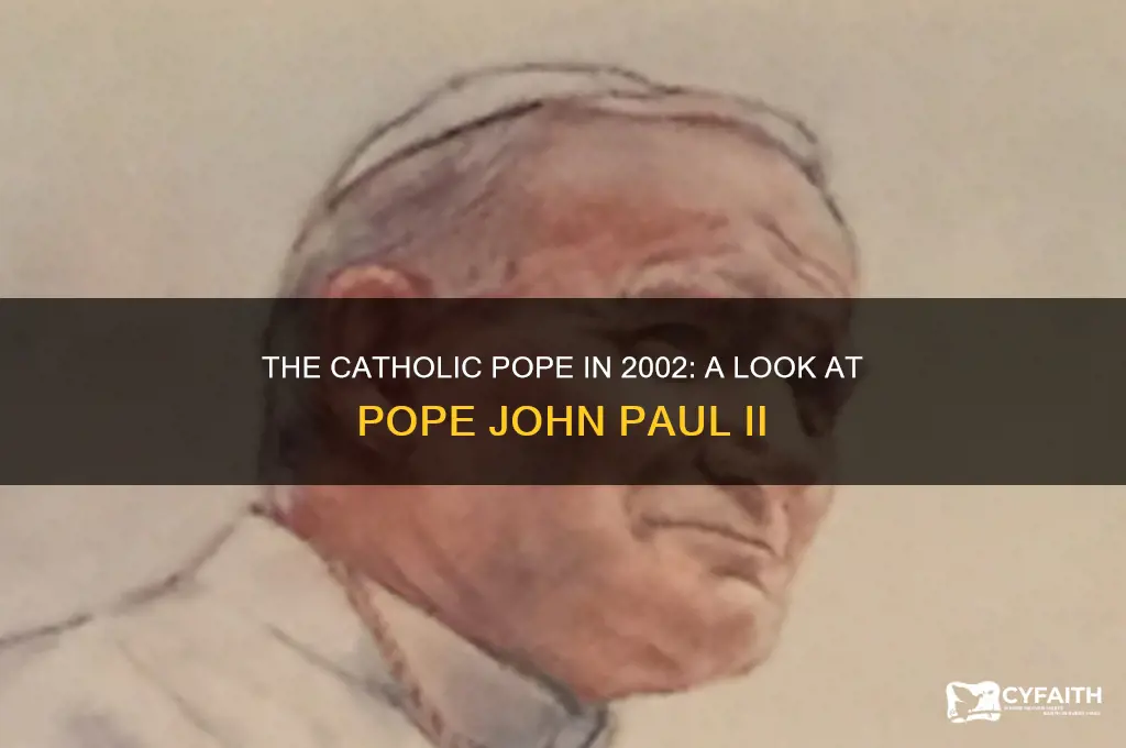 who was the catholic pope in 2002