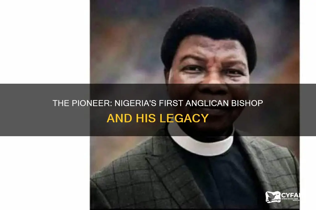 who was the first anglican bishop in nigeria