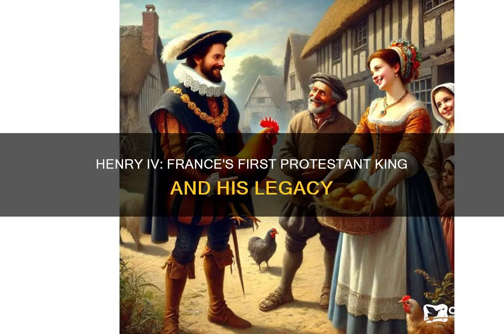 who was the first protestant king of fran ce