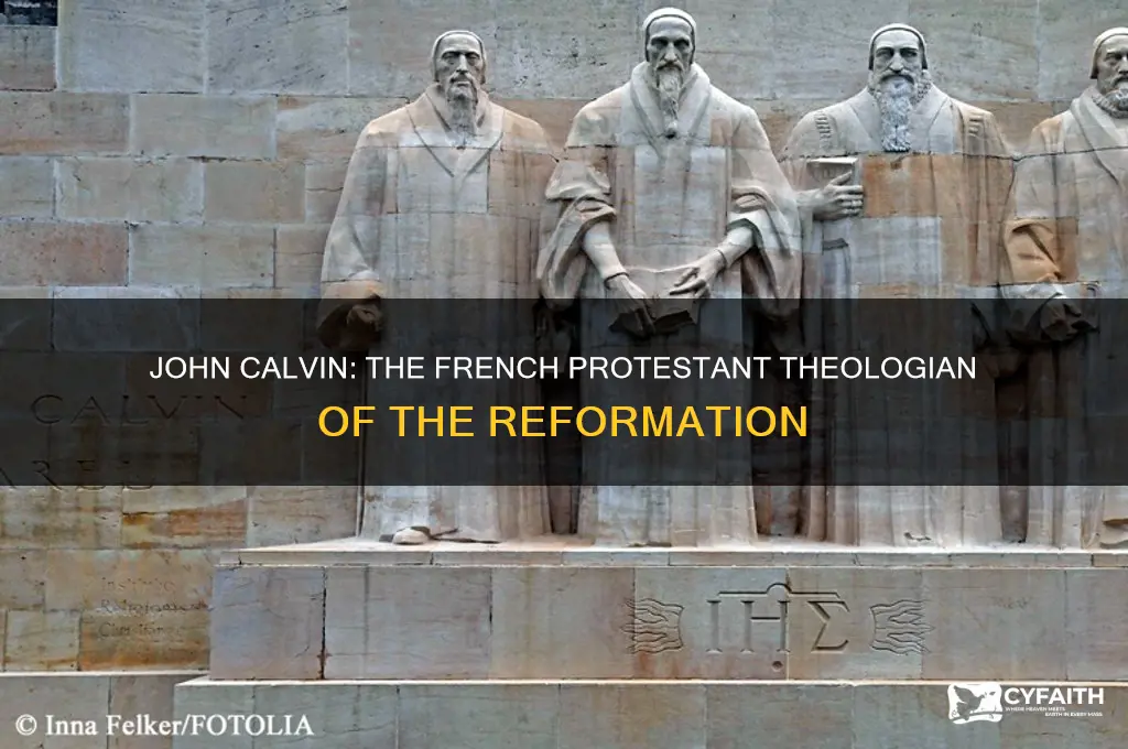 who was the french protestant theologian during the protestant reformation