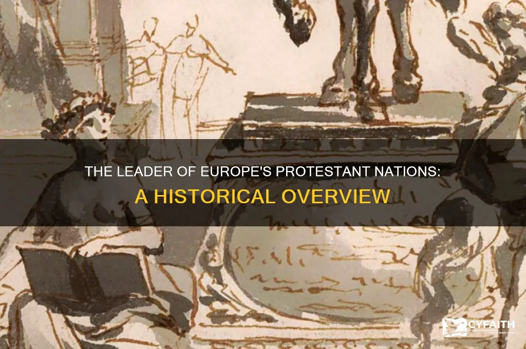 who was the leader of the european protestant nations