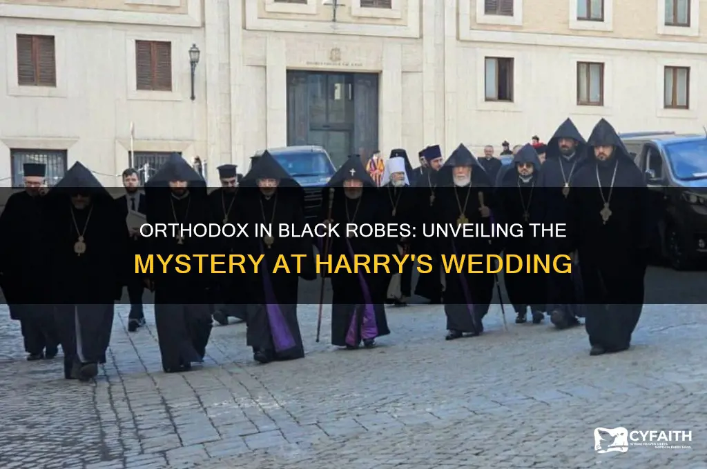 who was the orthodox in black robes at harry