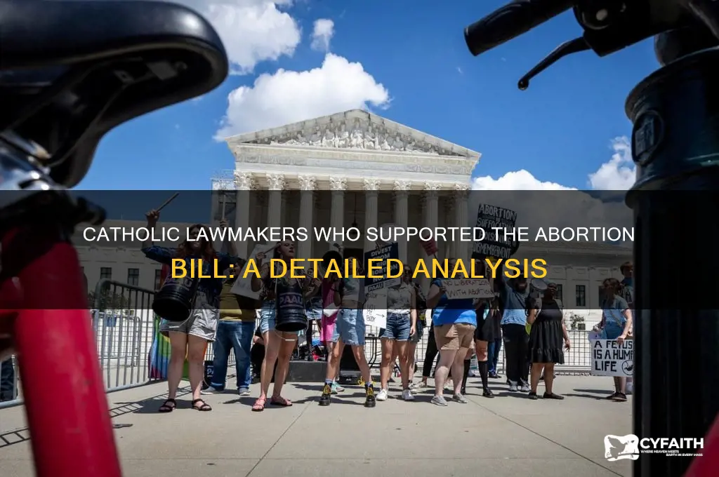 who were the catholic lawmakers who voted forabortion bill