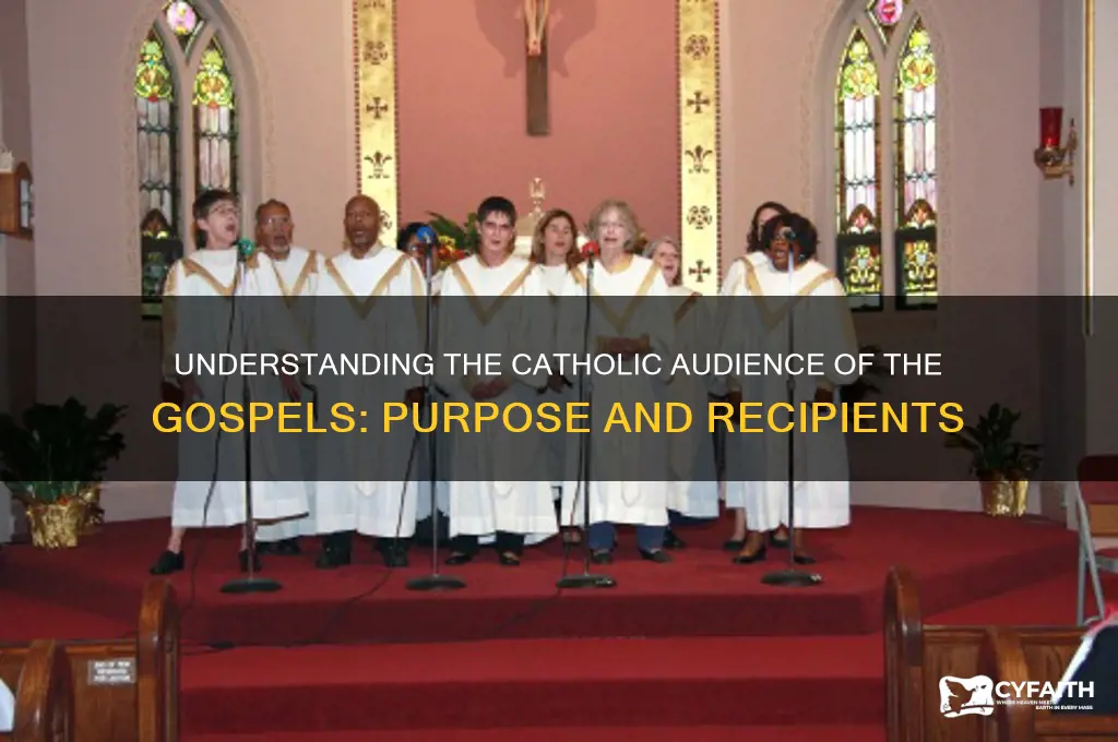 who were the gospels written for catholic