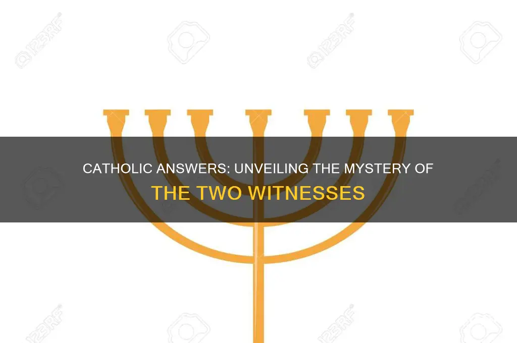 who will be the two witnesses catholic answers