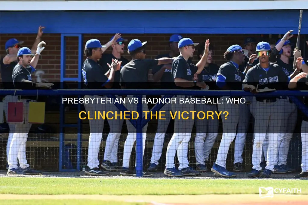 who won presbyterian vs radnor baseball