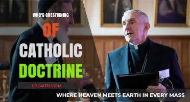 Challenging Catholic Doctrine: Who's Raising Questions and Why It Matters
