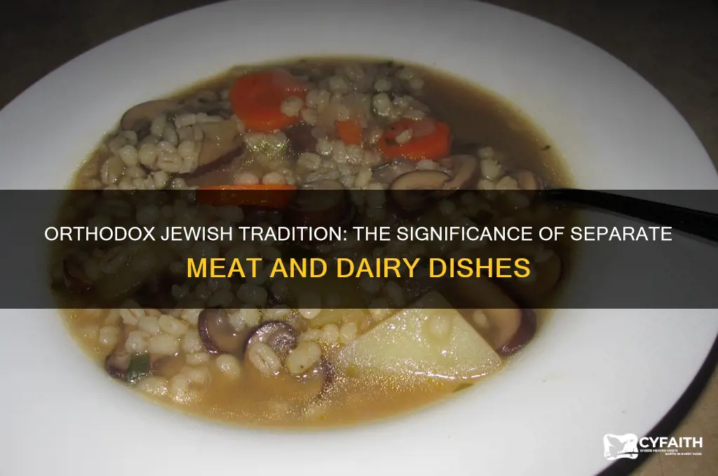 why 2 sets of dishes in orthodox judaism