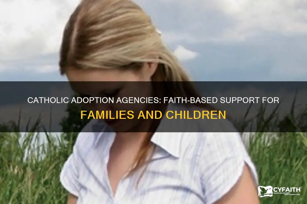 why a adoption agencies catholic