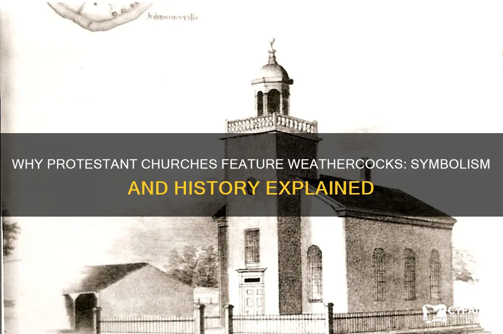why a cock on protestant churches