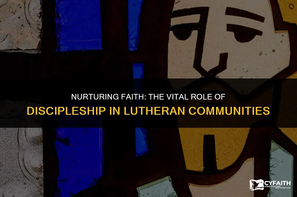why a discipleship program is important lutheran perspective