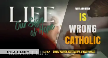 Catholic Perspective: Why Abortion Violates the Sanctity of Life